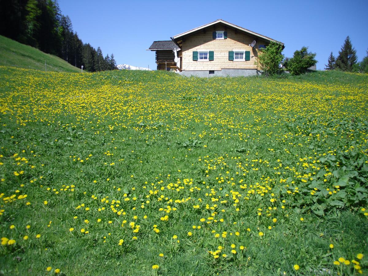 Villa Maisaess Lifinarblick à Schruns Extérieur photo